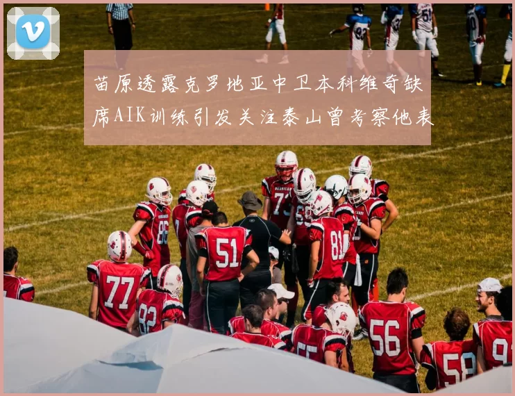 苗原透露克罗地亚中卫本科维奇缺席AIK训练引发关注泰山曾考察他表现