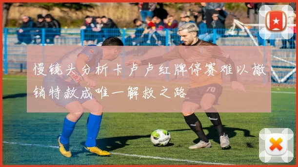 慢镜头分析卡卢卢红牌停赛难以撤销特赦成唯一解救之路