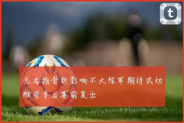 无名指骨折影响不大绿军期待武切维奇季后赛前复出
